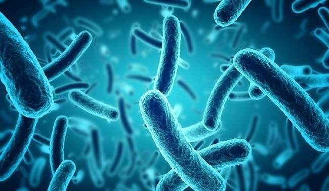 hot tub safety tips - bacteria test