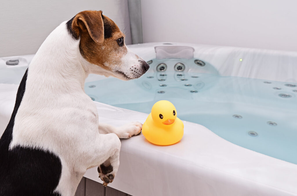 pet friendly hot tub
