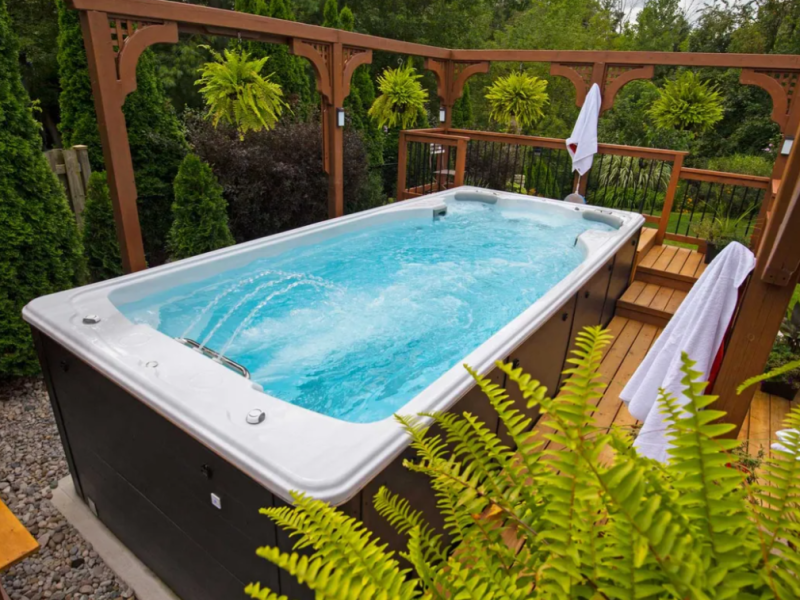 swimlife swim spa with pergola